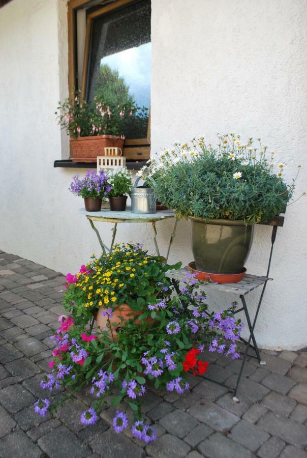 Homestay Cozy Room Markdorf Eksteriør bilde
